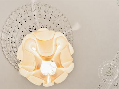 Picture 14